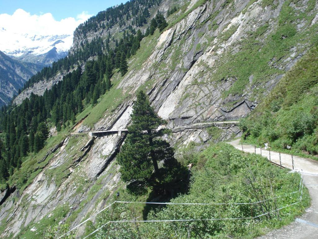 Gastehaus Rieser Otel Ried im Zillertal Dış mekan fotoğraf