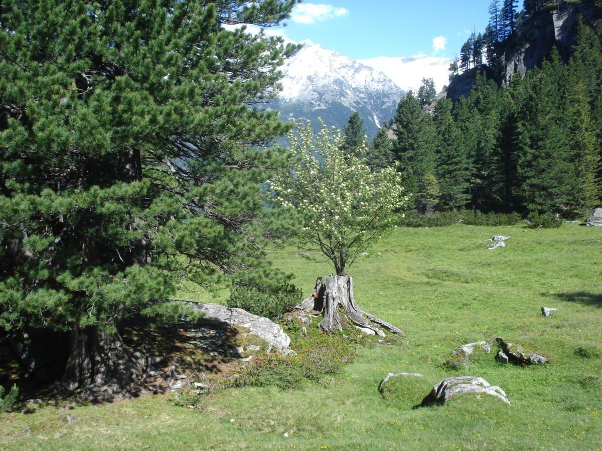 Gastehaus Rieser Otel Ried im Zillertal Dış mekan fotoğraf